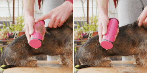 WildHotDeals Smooth Roller-Pet Hair Remover